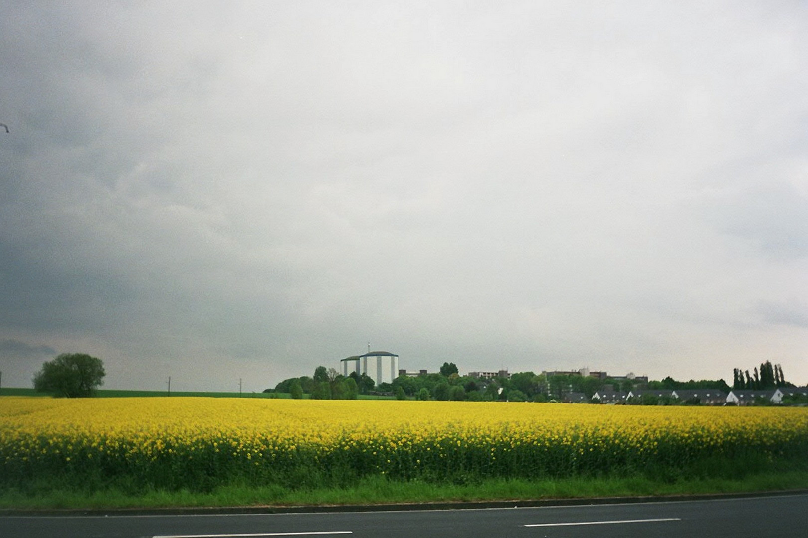 der frühling naht