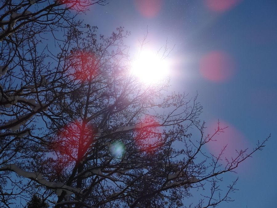 Der Frühling naht, die Sonne lacht