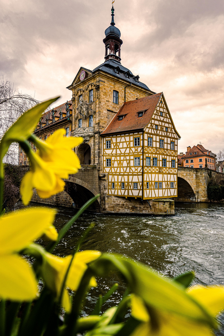 Der Frühling naht in Bamberg