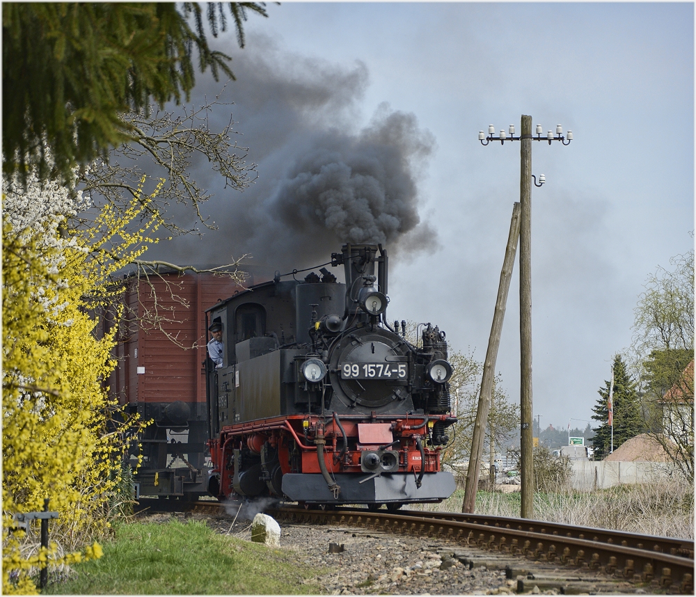 Der Frühling naht mit Riesenschritten