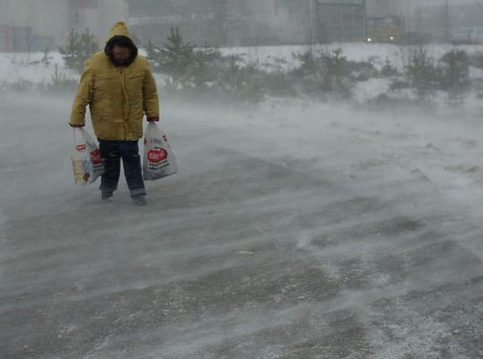 Der Frühling naht! Musste schnell noch ein paar Einkäufe machen ...