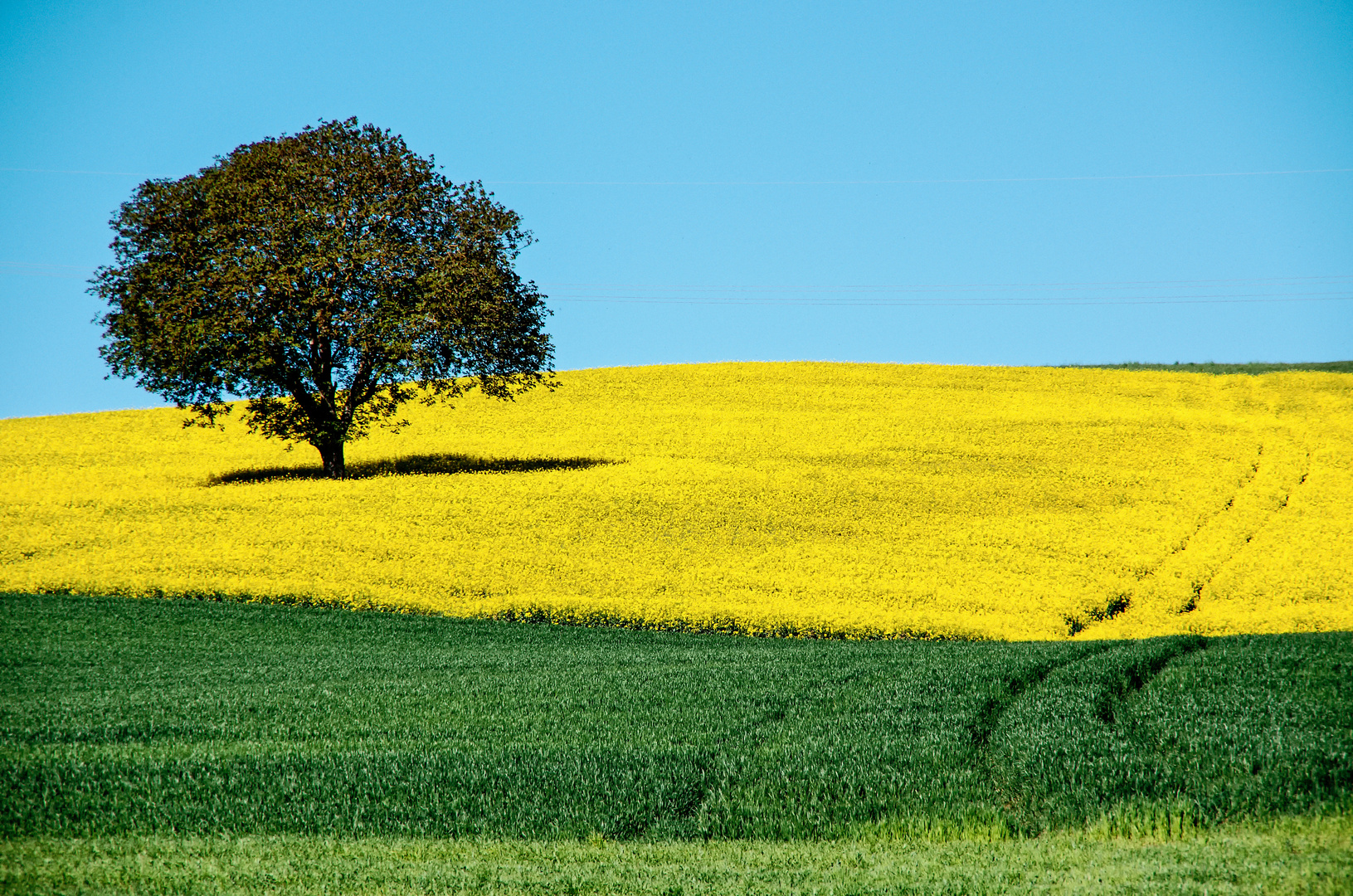 Der Frühling neigt sich dem Ende zu