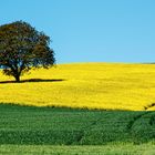 Der Frühling neigt sich dem Ende zu