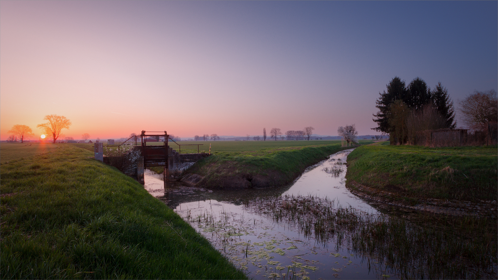 Der Frühling nimmt seinen Lauf