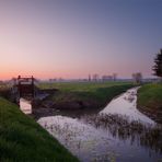 Der Frühling nimmt seinen Lauf