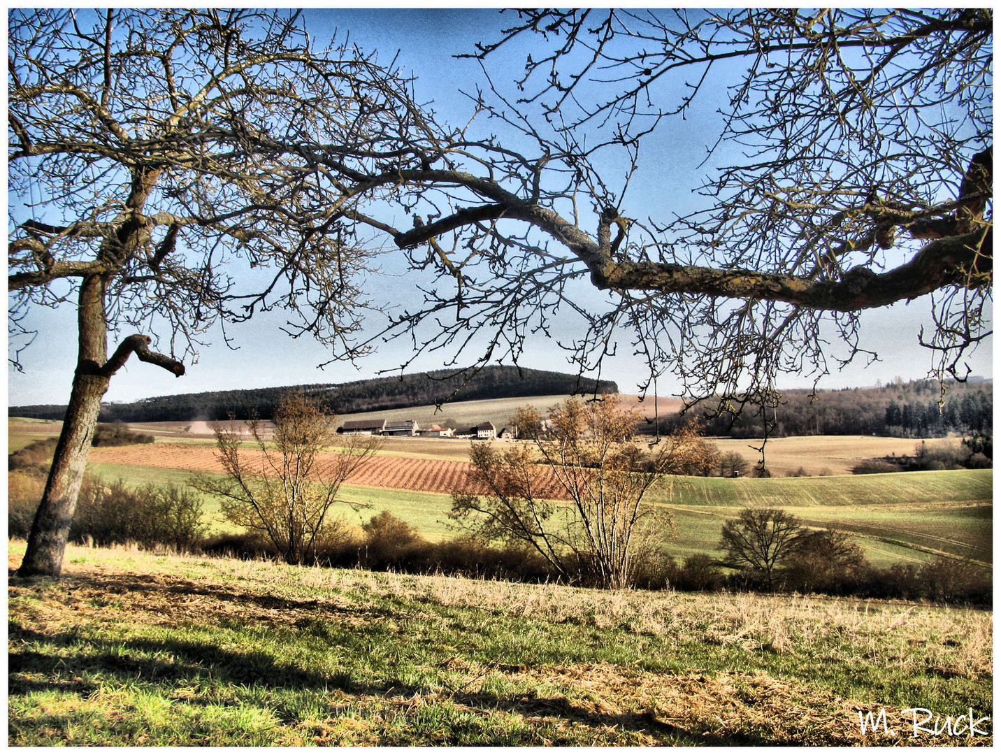 Der Frühling rückt immer näher 