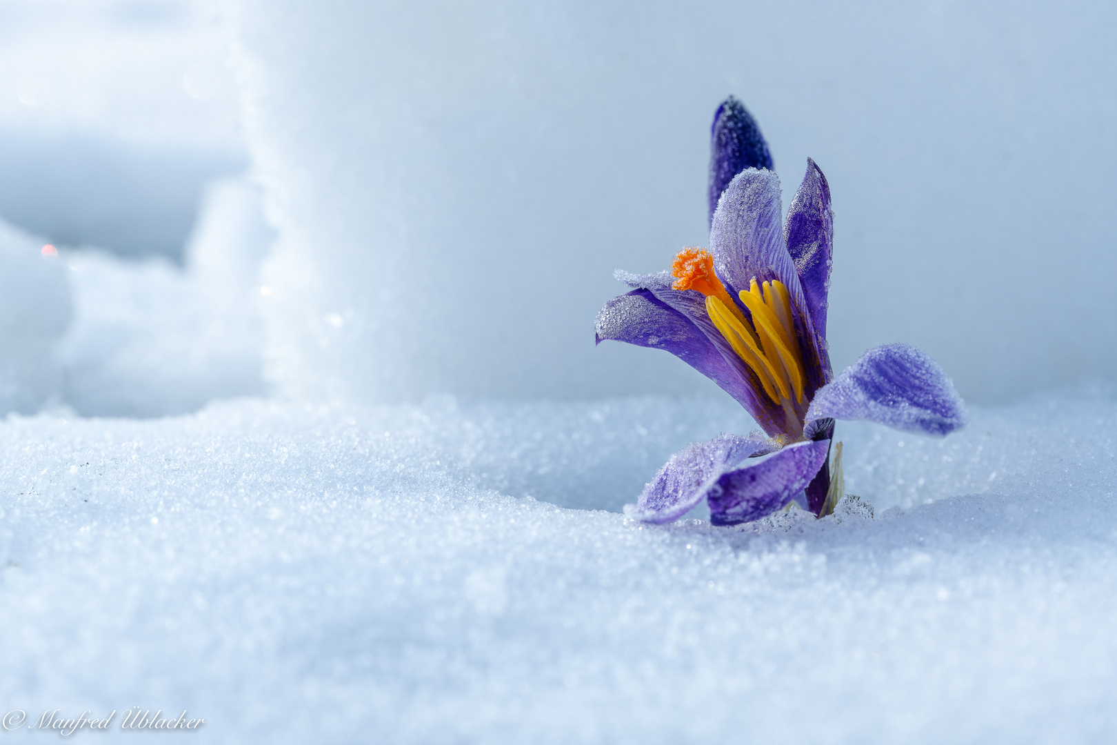 Der Frühling setzt sich durch ...