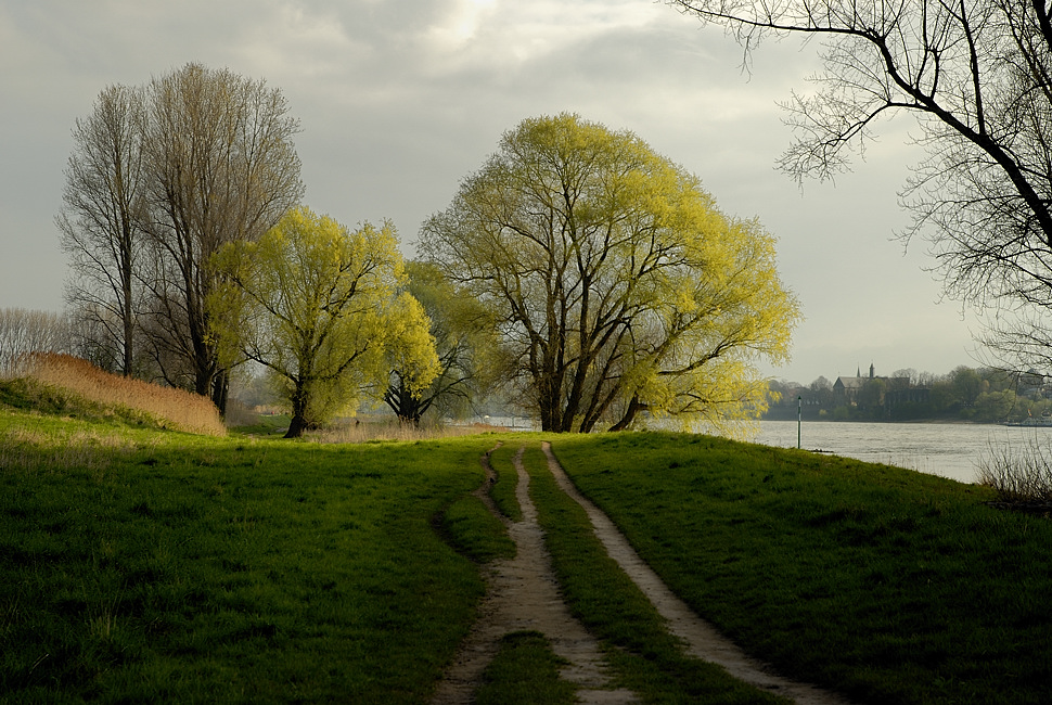 Der Frühling setzt sich durch