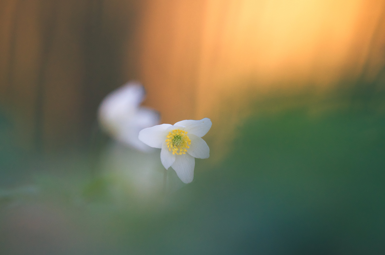 Der Frühling startet durch!