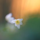 Der Frühling startet durch!