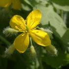 Der Frühling steht an der Tür