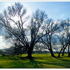 Der Frühling steht vor der Tür