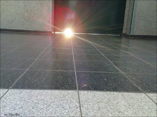 Der Frühling steht vor der Tür