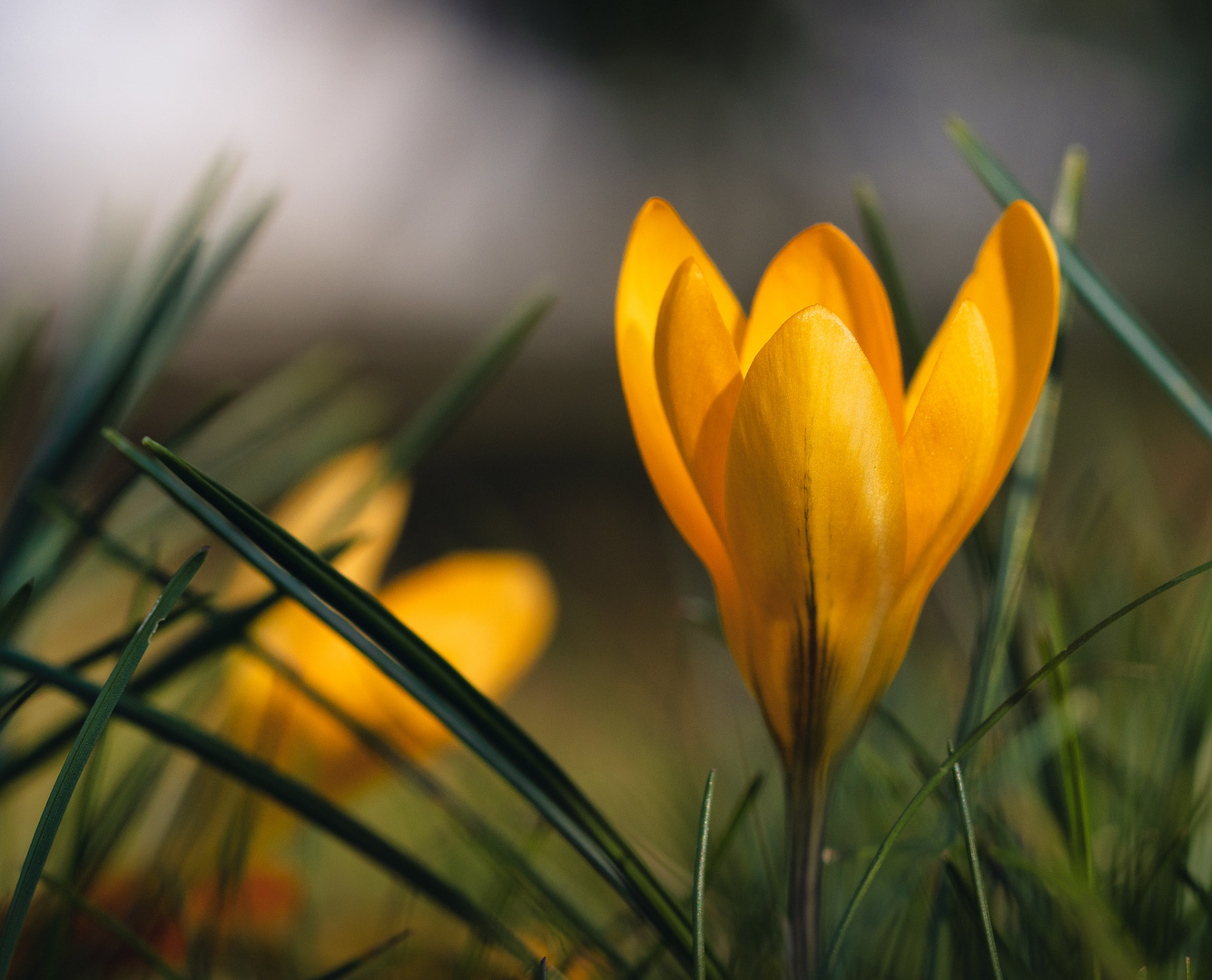 Der Frühling steht vor der Tür