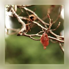 Der Frühling steht vor der Tür