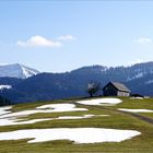 Der Frühling tastet sich vor