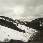 der Frühling tut sich schwer im Süd- Schwarzwald !