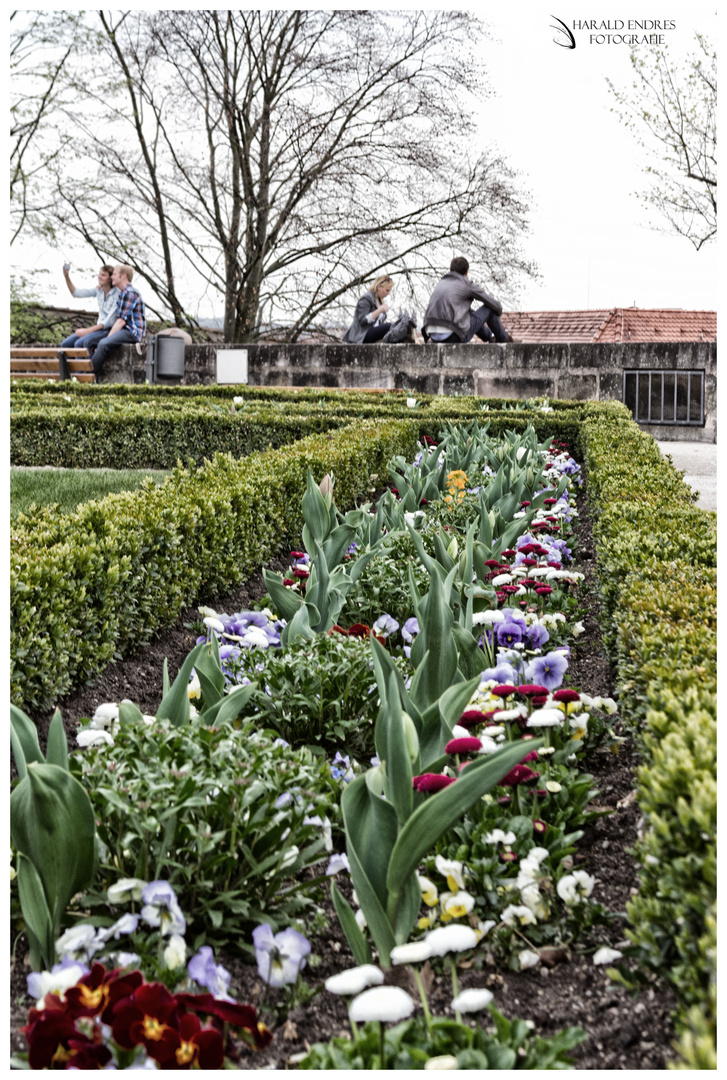 Der Frühling und seine Gefühle