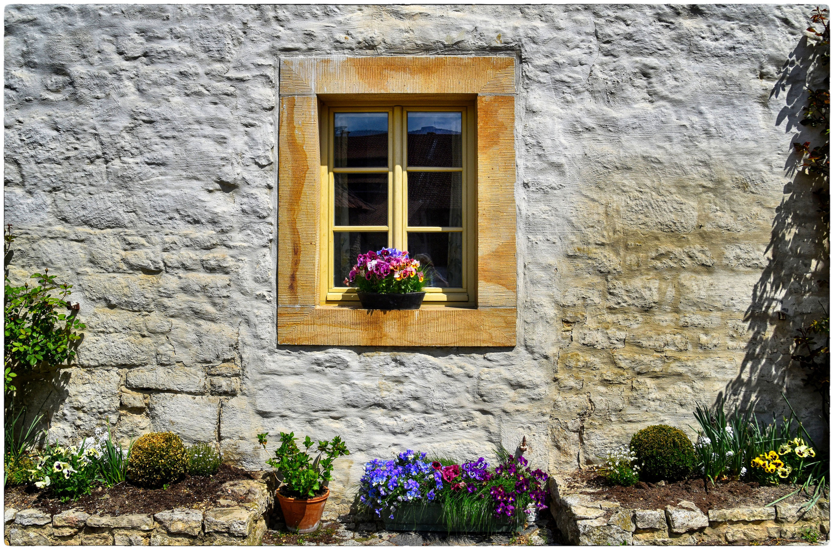 der Frühling vom Fenster