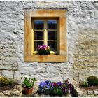 der Frühling vom Fenster