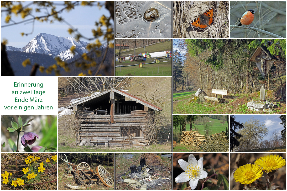 Der Frühling von damals war wie der jetzige