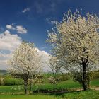 Der Frühling von seiner schönsten Seite.