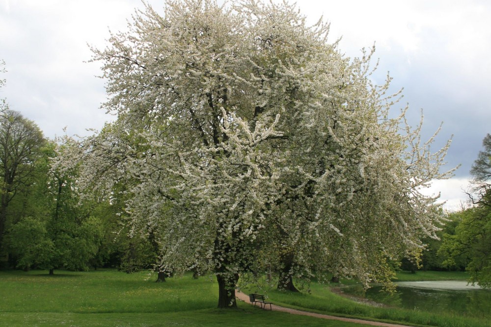 Der Frühling von seiner schönsten Seite