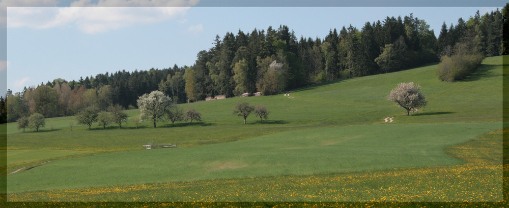 Der Frühling vor der Haustür