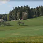 Der Frühling vor der Haustür