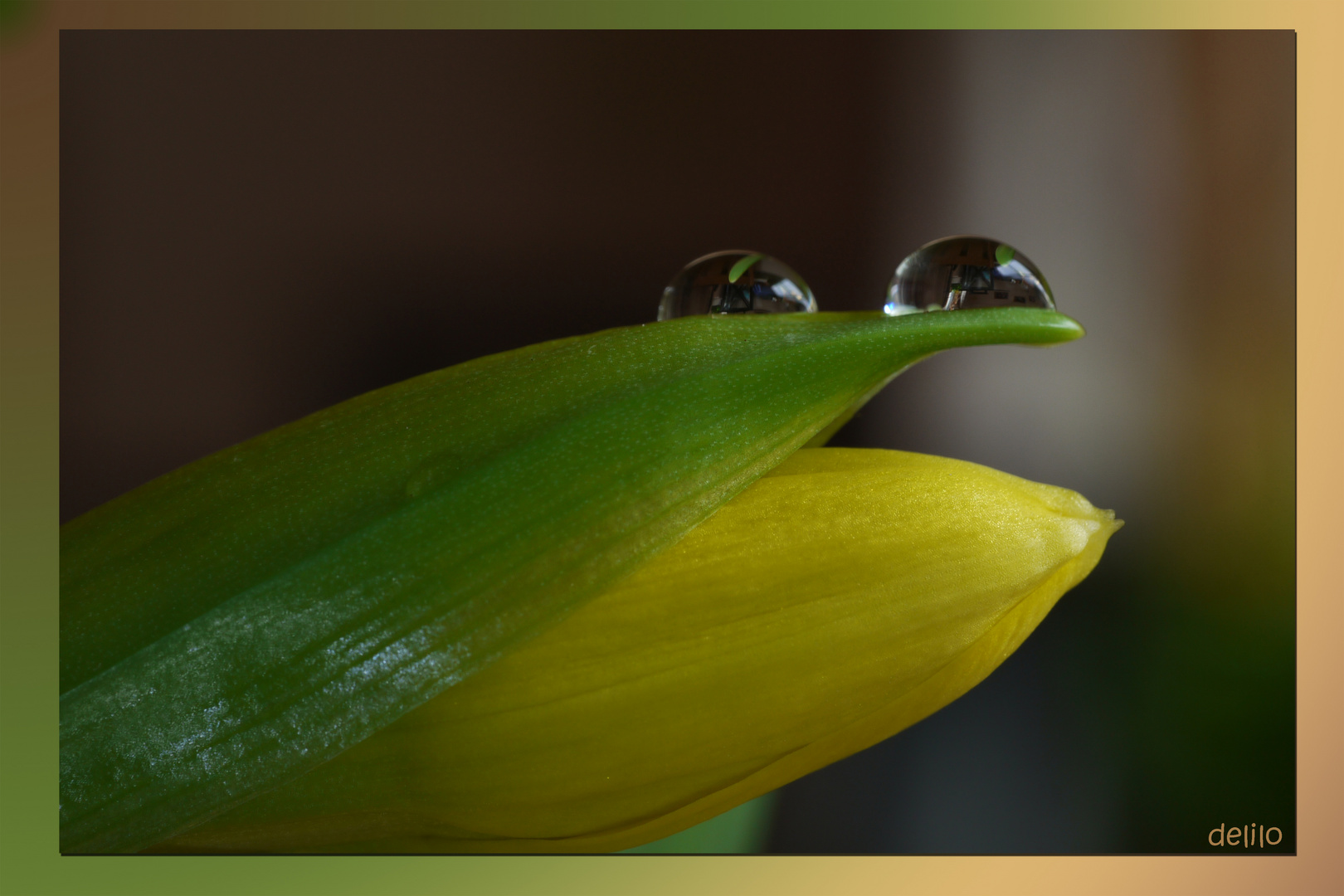 der Frühling weint....