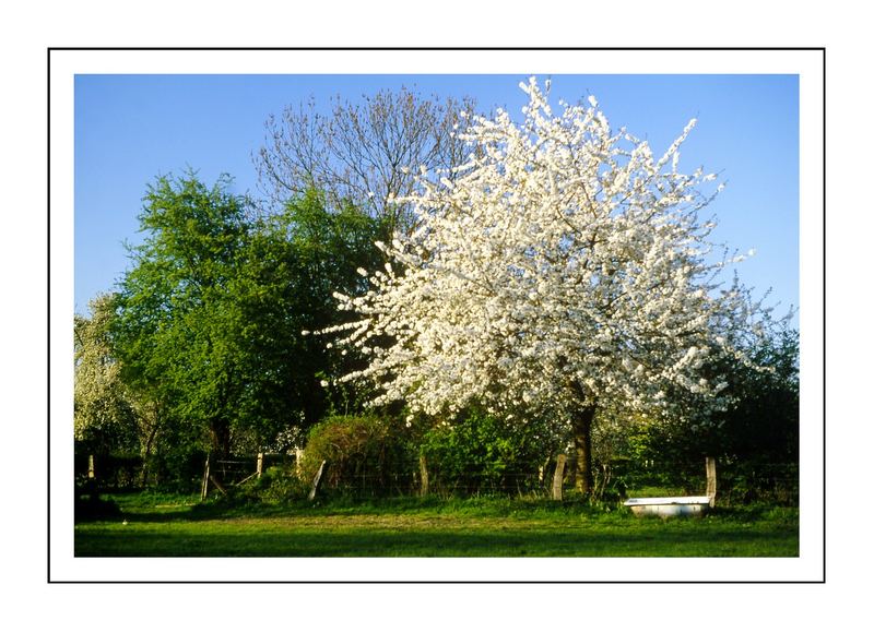 Der Frühling wird bald komen!