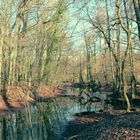 Der Frühling zähmt den Winterwald