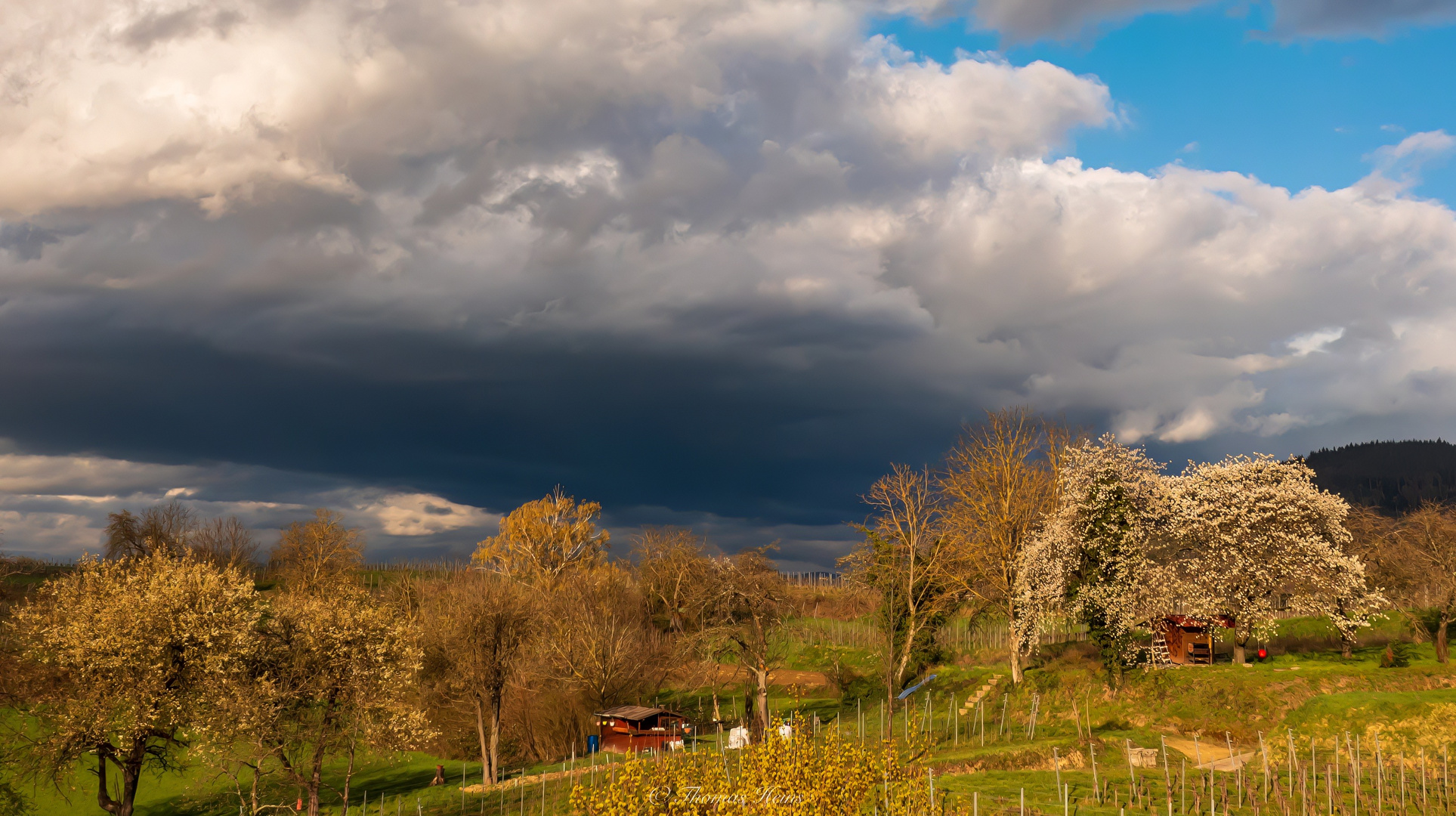 Der Frühling zeigt Farbe 