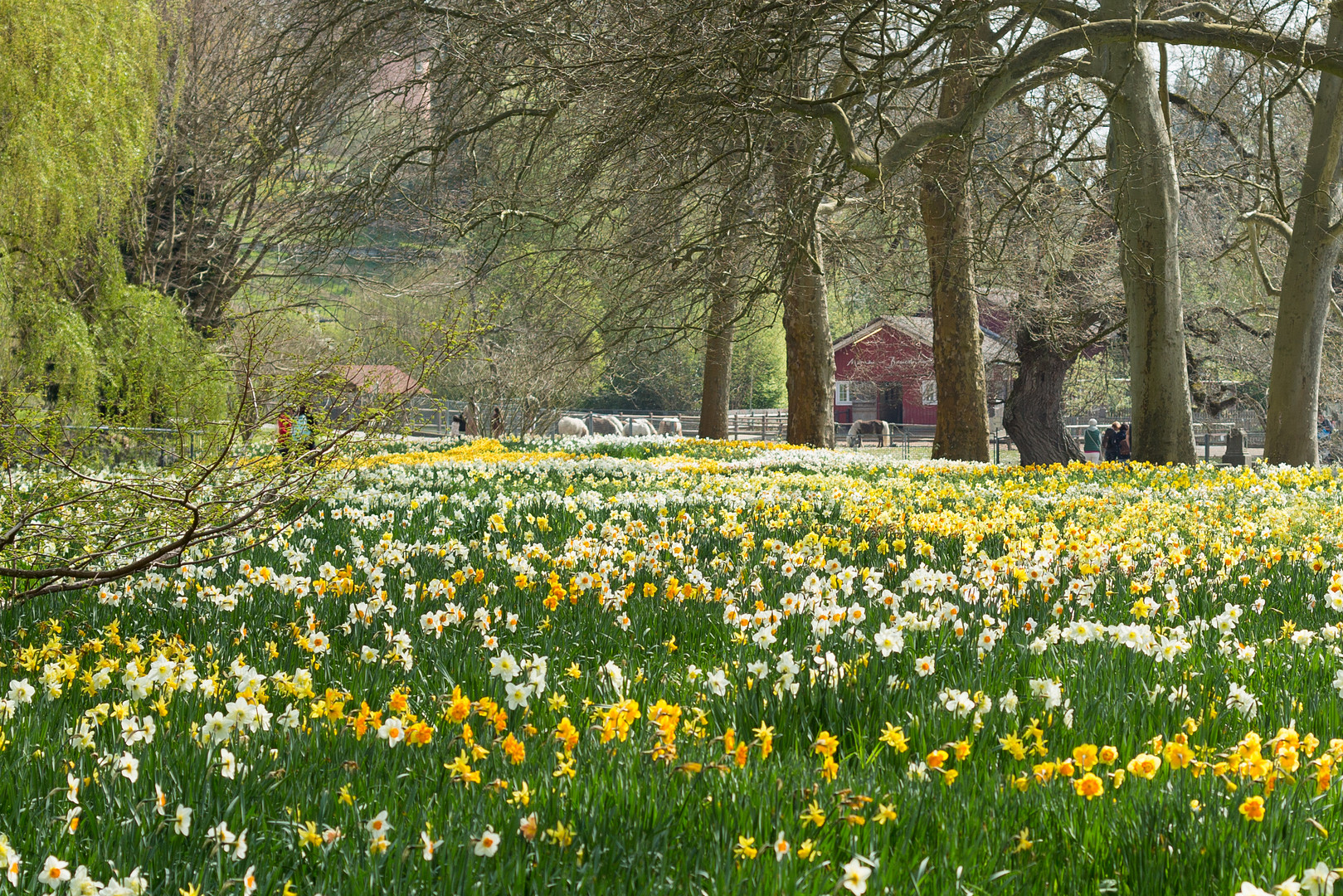 Der Frühling zeigt sich in seiner vollen Pracht