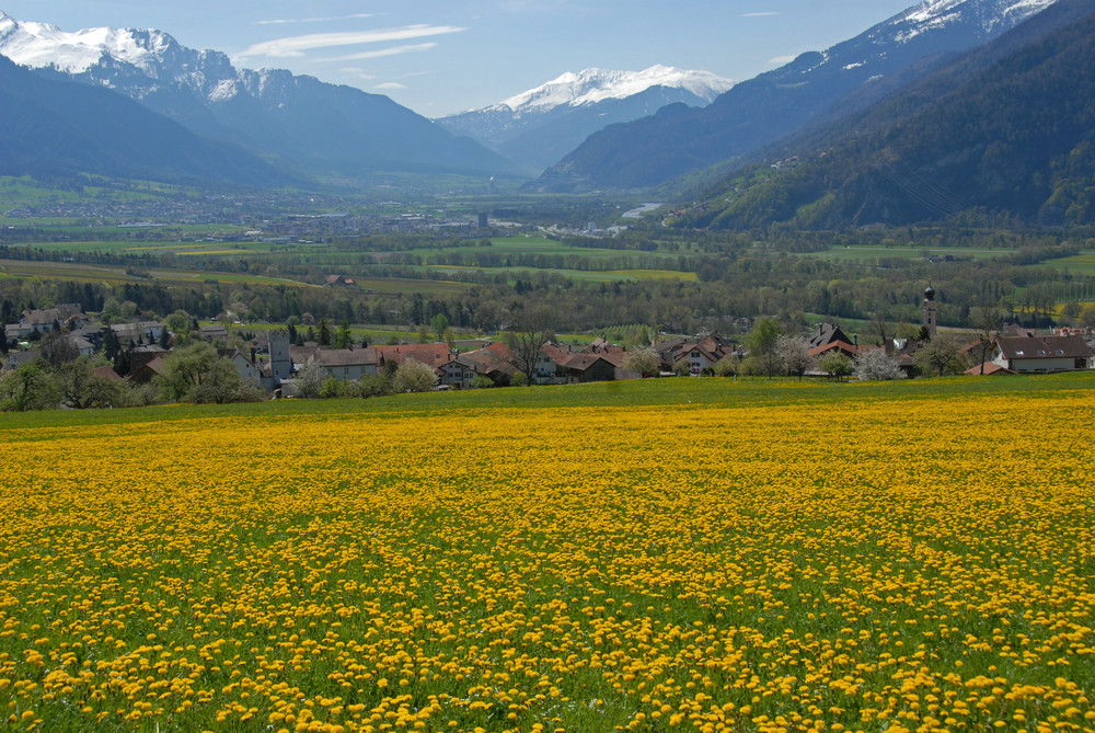 Der Frühling zieht durchs Tal.....