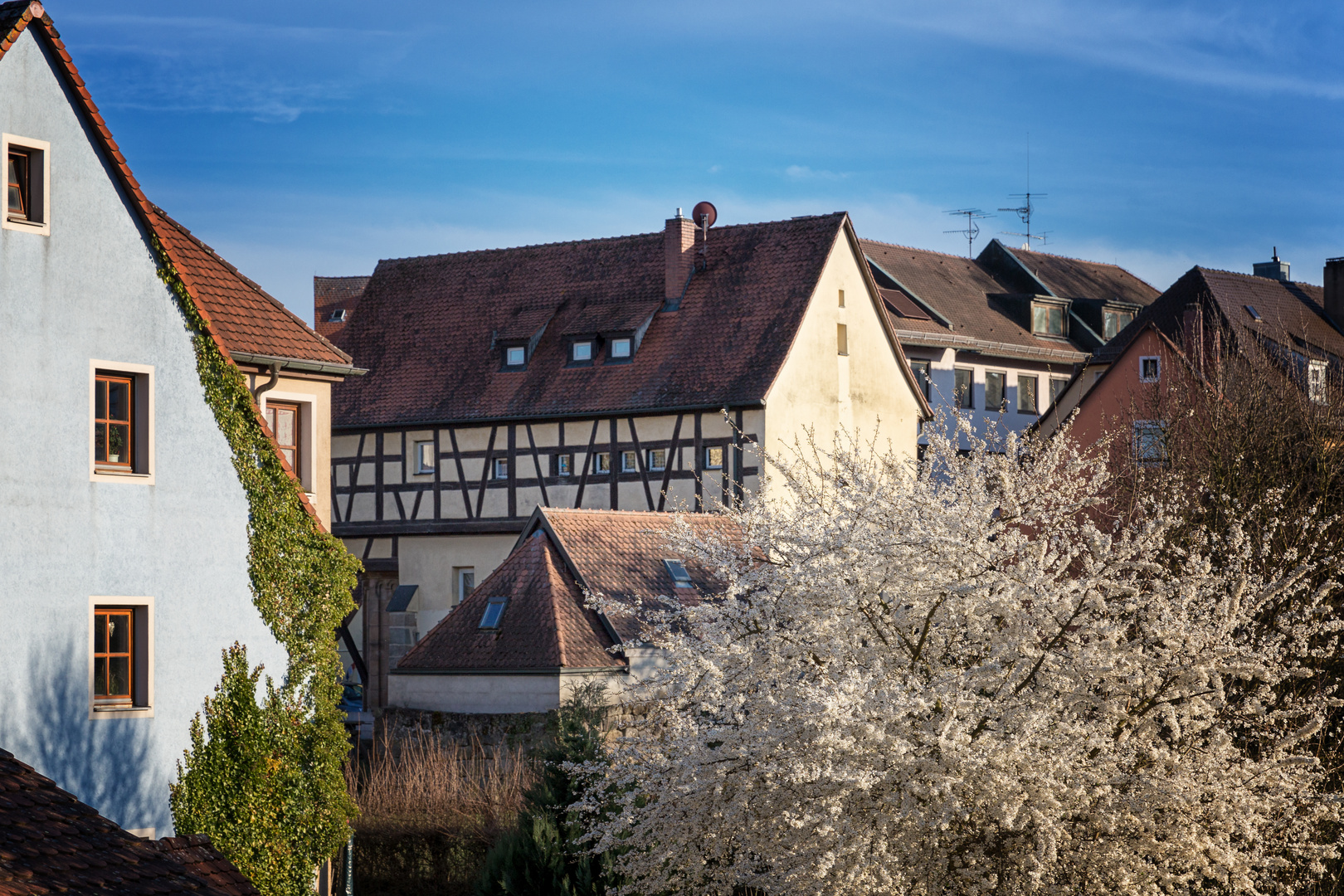 Der Frühling zieht in der Stadt ein