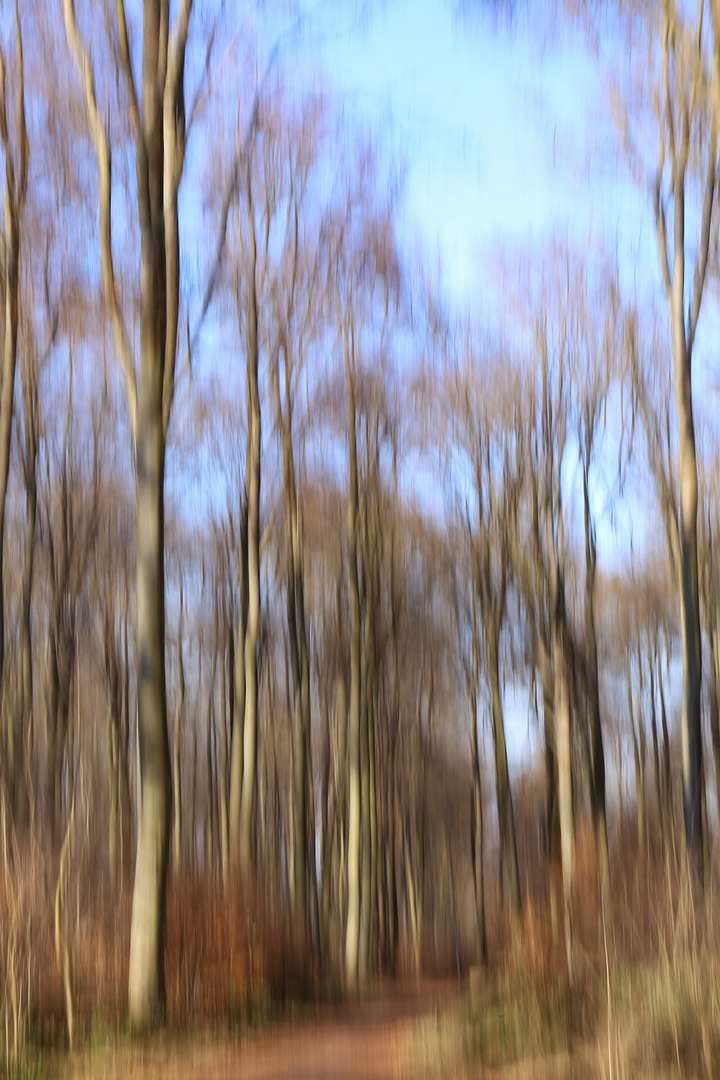 Der Frühling zieht sich....