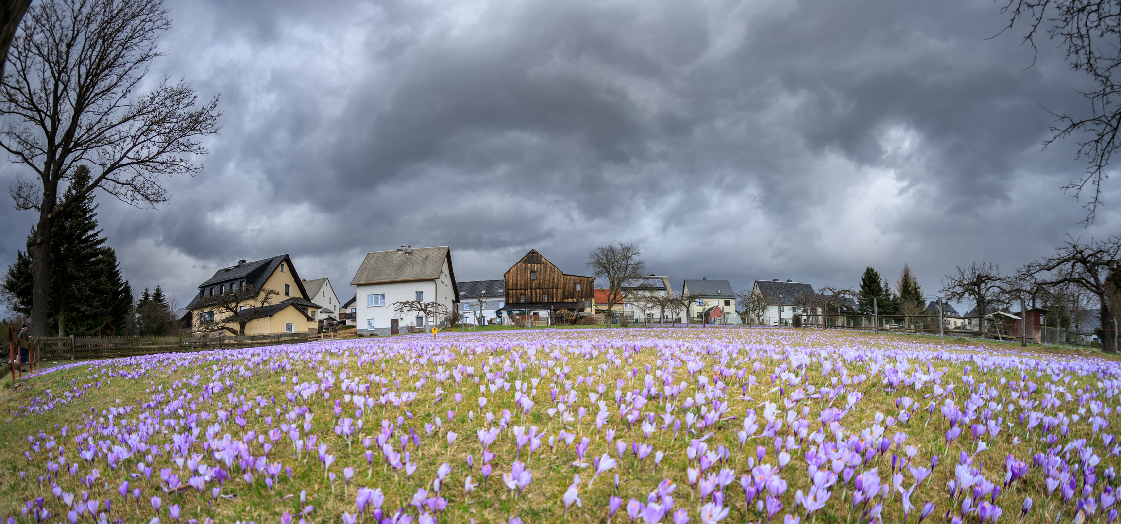 Der Frühling zögert...