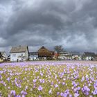 Der Frühling zögert...