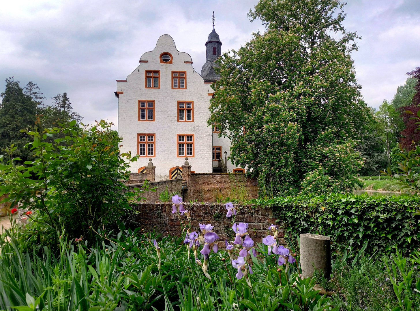 der Frühlingsblick