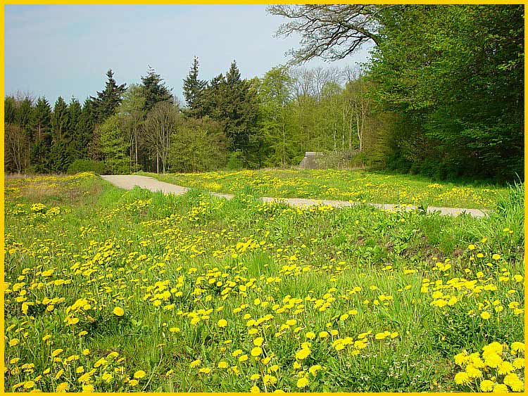 Der Frühlingsblick