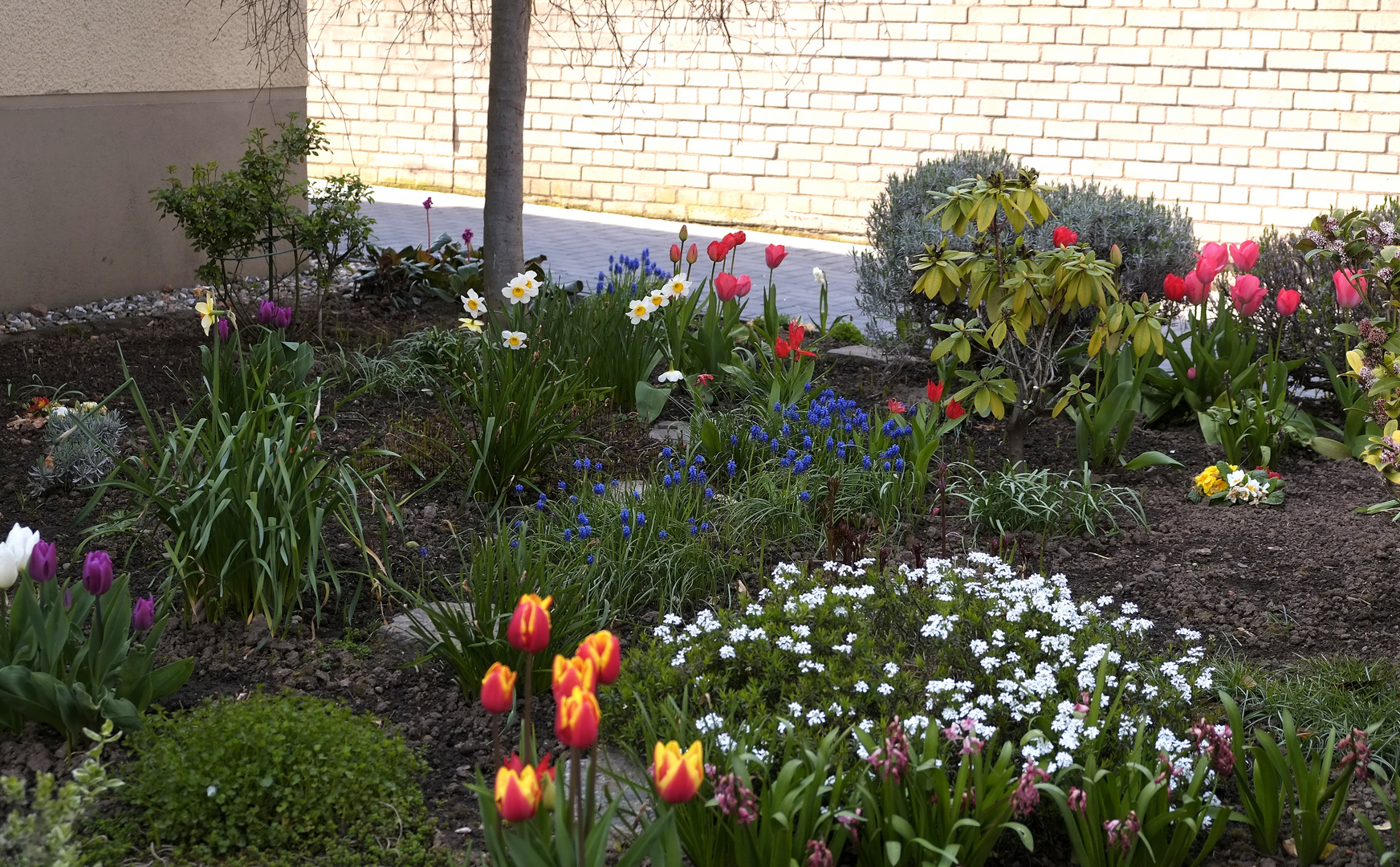 der Frühlingsgarten