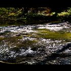 NATUR