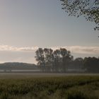 Der Frühlingsmorgen