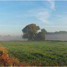 Der Frühnebel