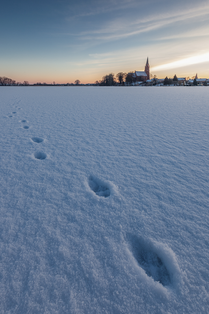 Der Fuchs auf Wanderschaft