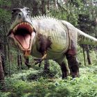 Der fühlte sich gestört … Giganotosaurus..