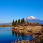Der für die Japaner "heilige Berg", der Fujiyama