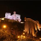 Der Fürstenpalast bei Nacht - da, wo die Grimaldis wohnen