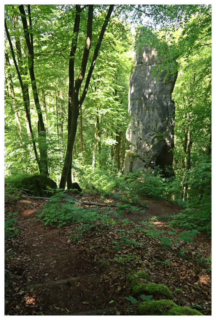 Der Fürther Turm 